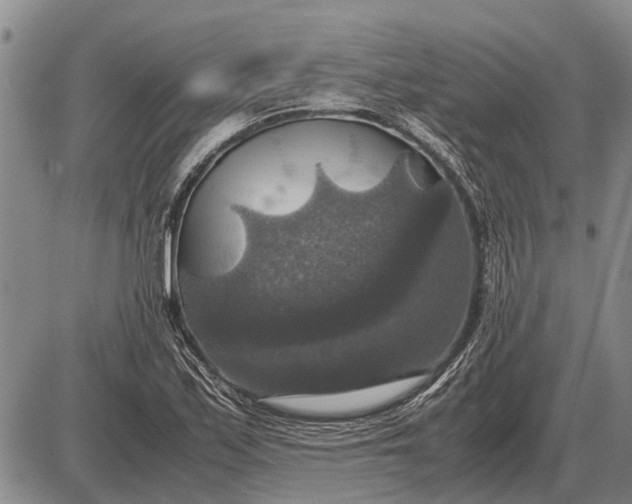 X0000085271171200703231733