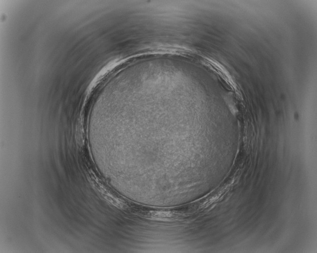 X0000085271172200703231733