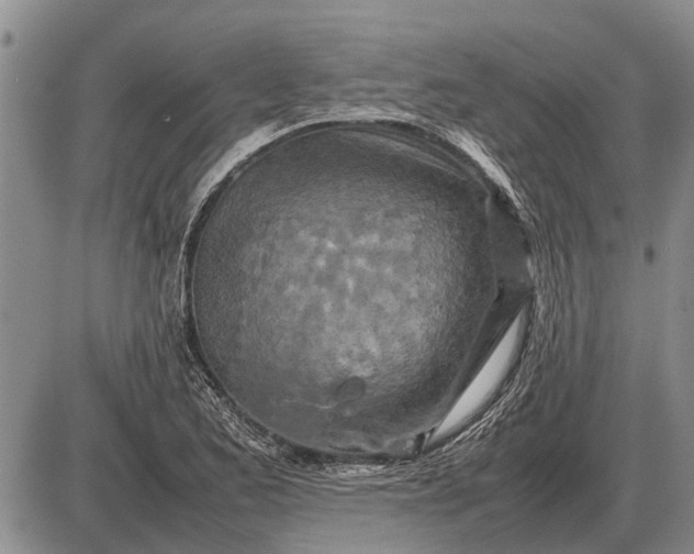 X0000085271173200703231733