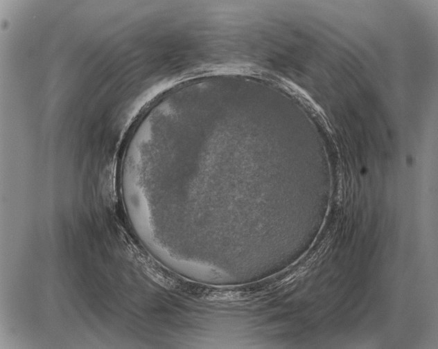 X0000085271174200703231733