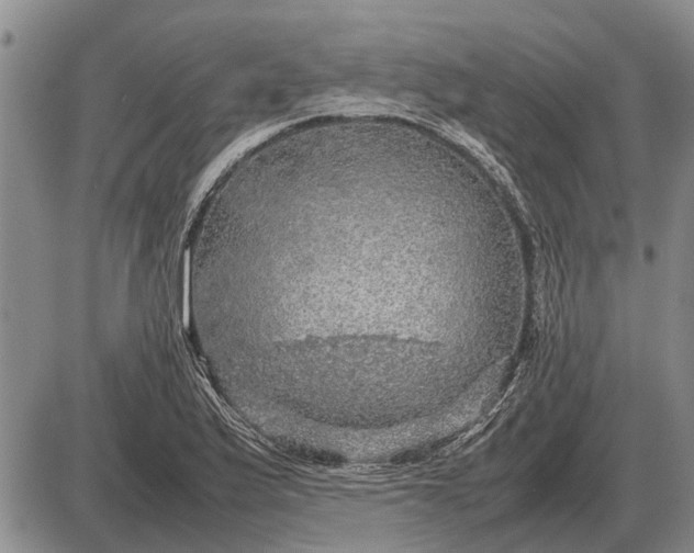 X0000085271175200703231733