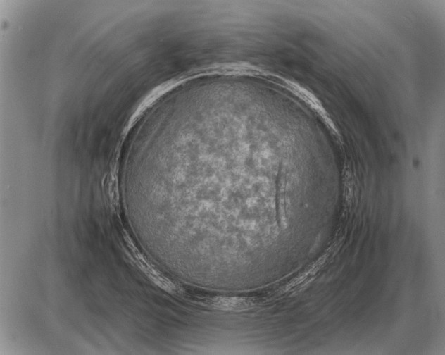 X0000085271176200703231733