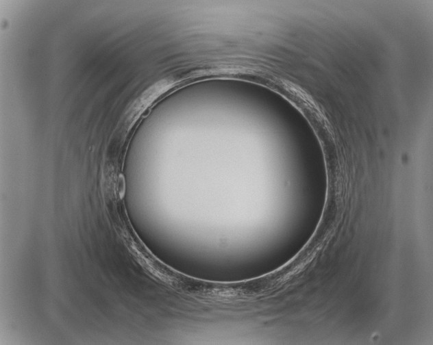 X0000085271177200703231733