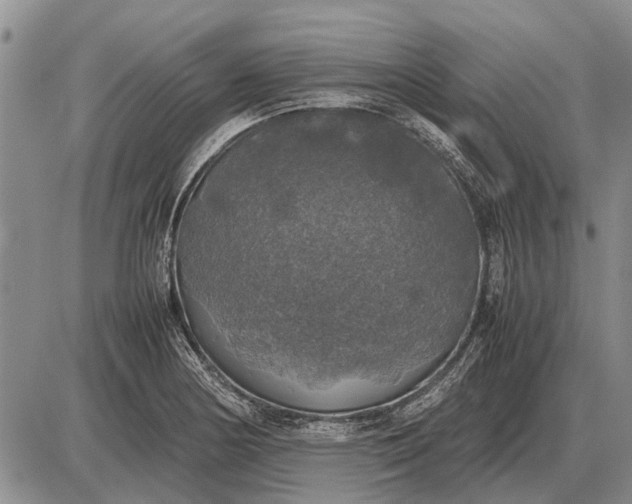 X0000085271178200703231733