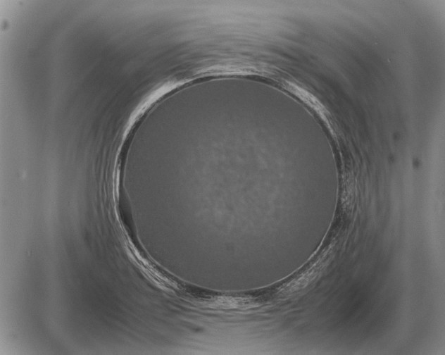 X0000085271179200703231733