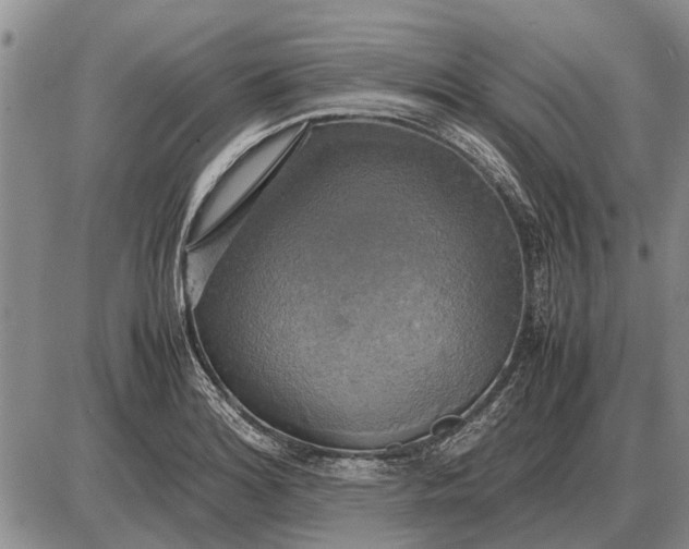 X0000085271180200703231733