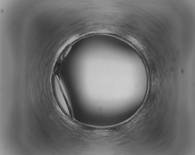 X0000085271181200703231733