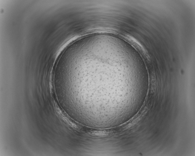 X0000085271182200703231733