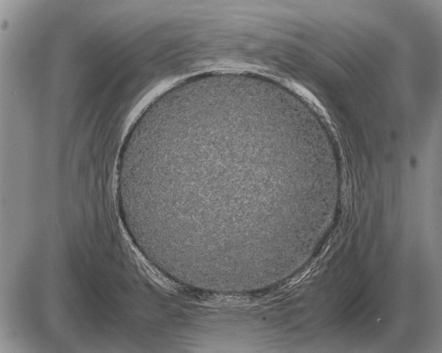 X0000085271183200703231733