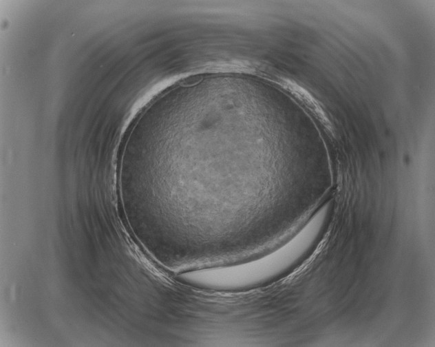 X0000085271184200703231733