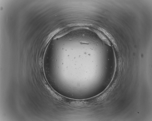 X0000085271185200703231733