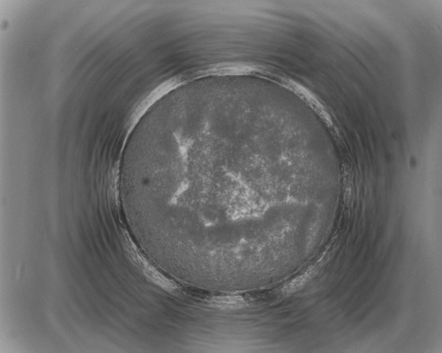 X0000085271186200703231733