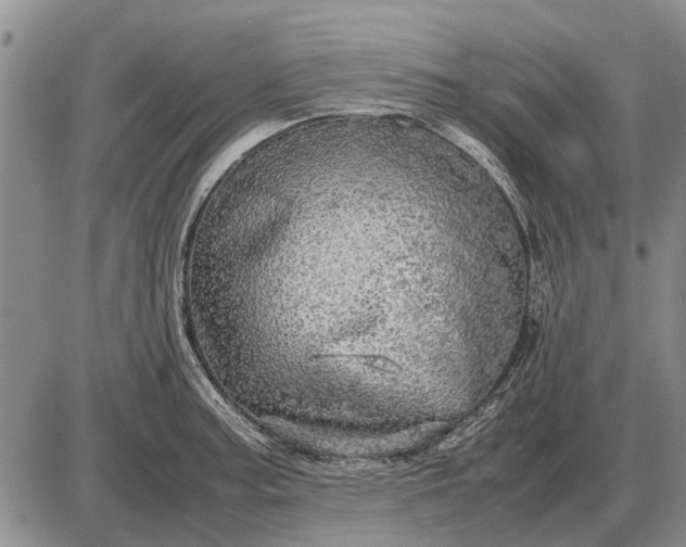 X0000085271187200703231733