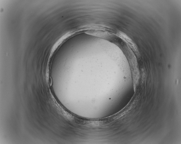 X0000085271188200703231733