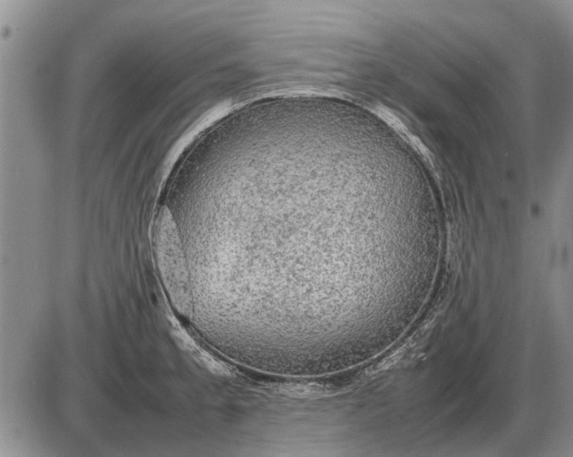 X0000085271189200703231733