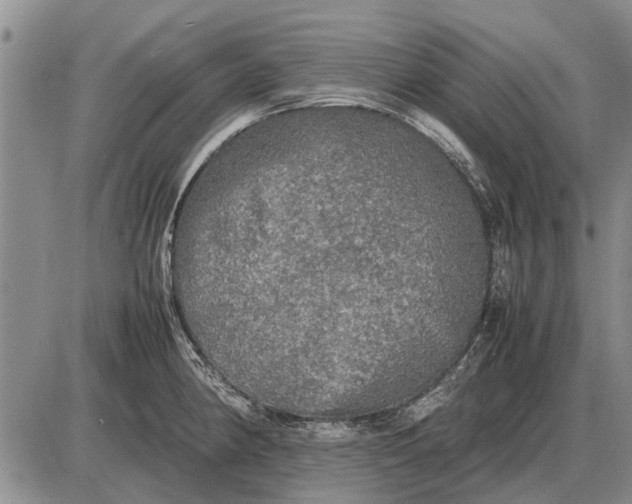 X0000085271190200703231733