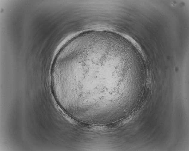 X0000085271191200703231733