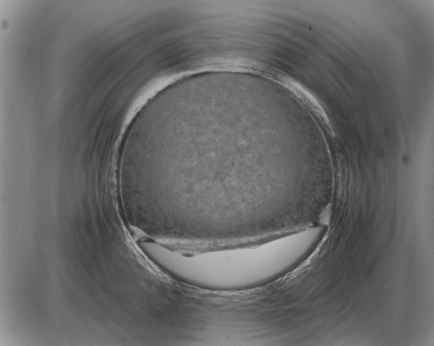 X0000085271192200703231733