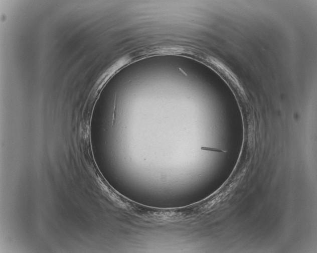 X0000085271193200703231733