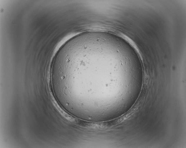 X0000085271195200703231733