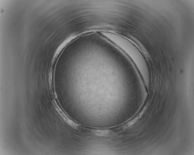 X0000085271196200703231733