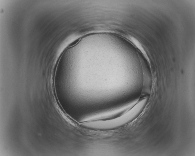 X0000085271197200703231733