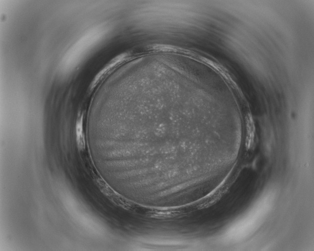 X0000085271198200703231733