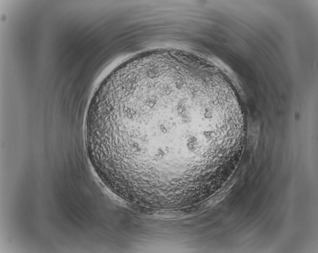 X0000085271199200703231733