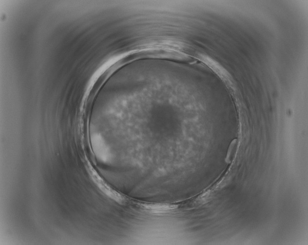 X0000085271200200703231733