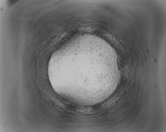 X0000085271201200703231732