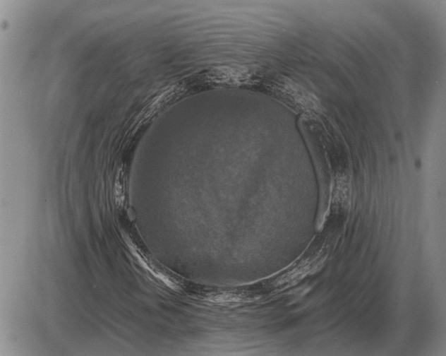 X0000085271202200703231732