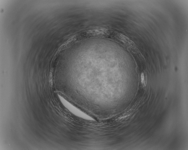 X0000085271203200703231732