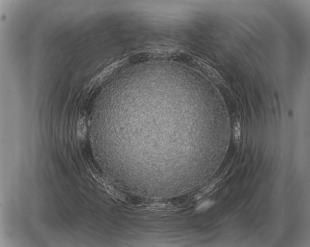 X0000085271204200703231732