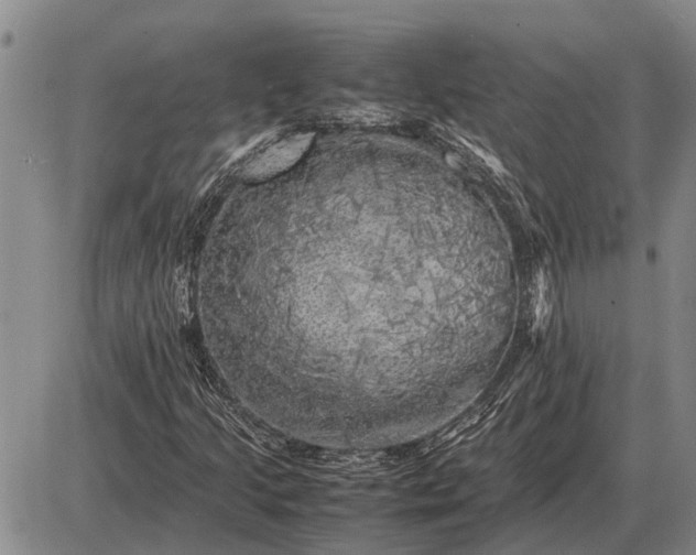 X0000085271205200703231732