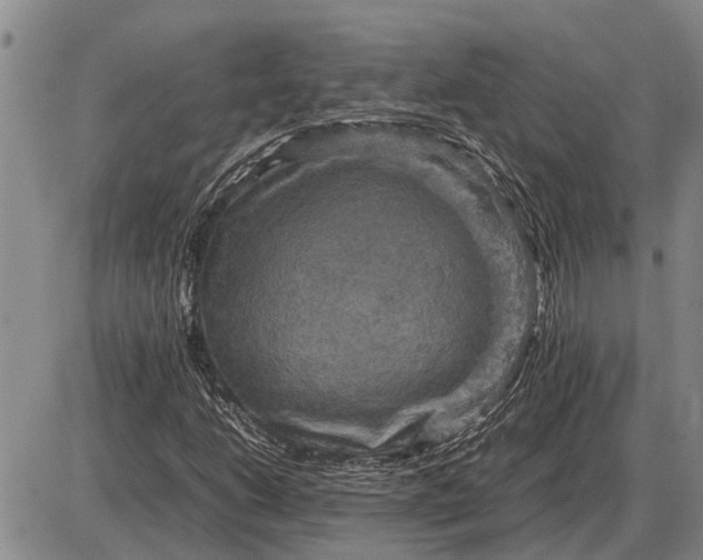 X0000085271206200703231732