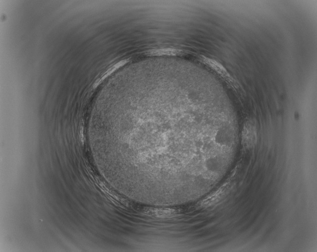 X0000085271209200703231732