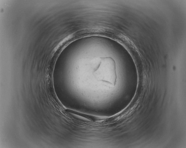 X0000085271210200703231732