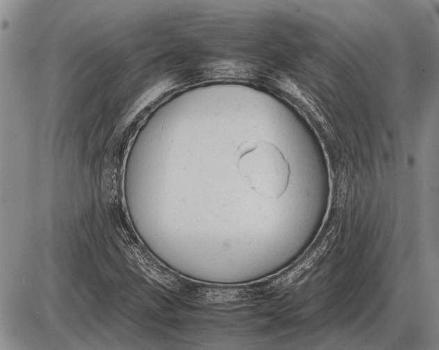 X0000085271211200703231732