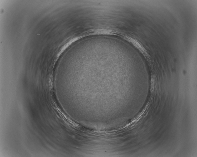 X0000085271212200703231732