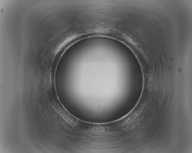 X0000085271214200703231732