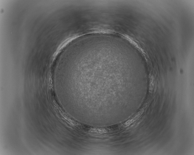 X0000085271215200703231732