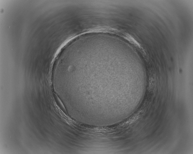 X0000085271216200703231732