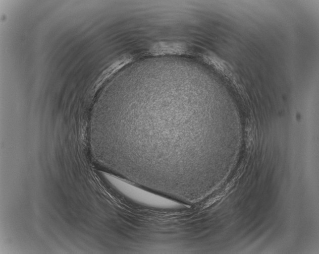 X0000085271217200703231732