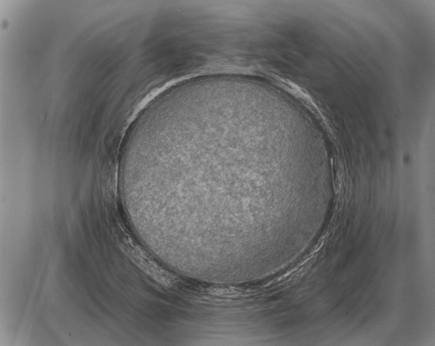 X0000085271220200703231732