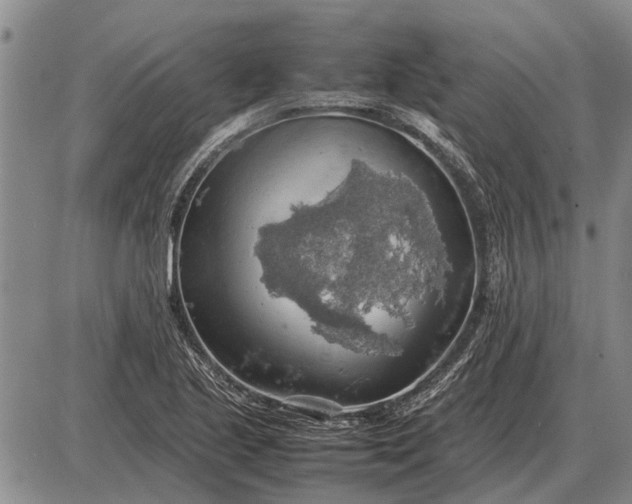 X0000085271221200703231732