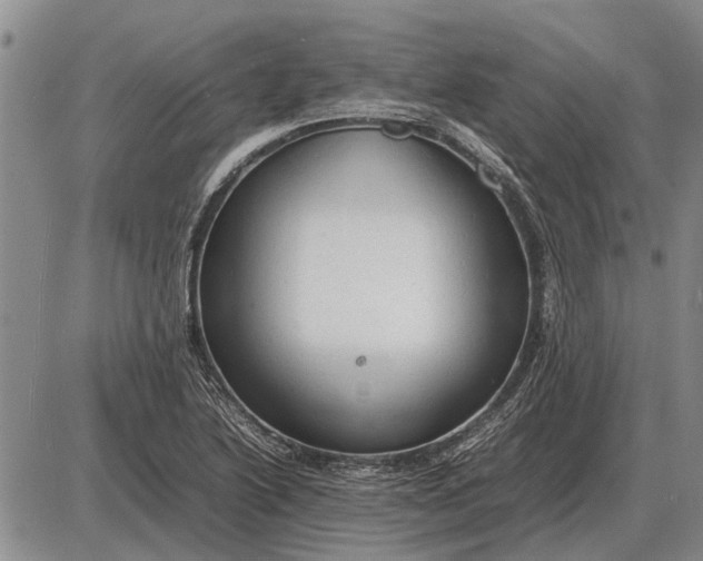 X0000085271222200703231732