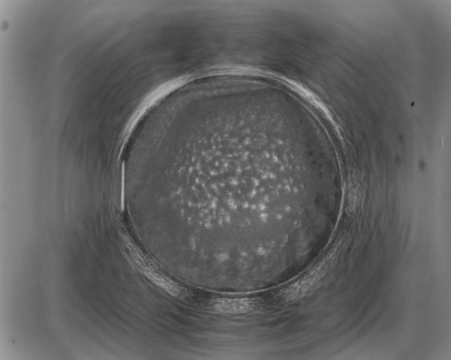 X0000085271223200703231732