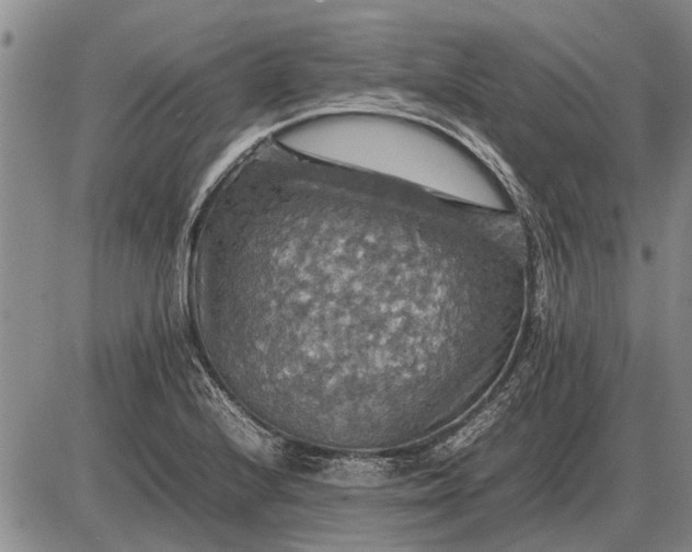 X0000085271224200703231732