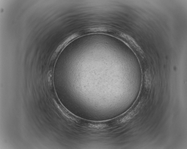 X0000085271225200703231732