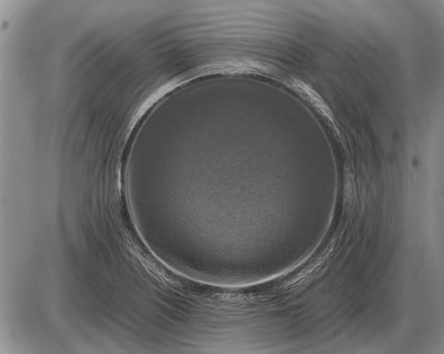 X0000085271226200703231732